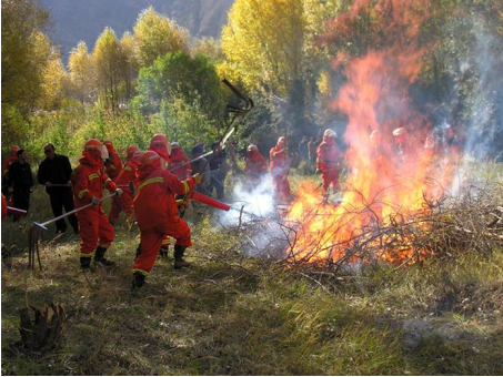 森林防火无线通信解决方案-无线通信